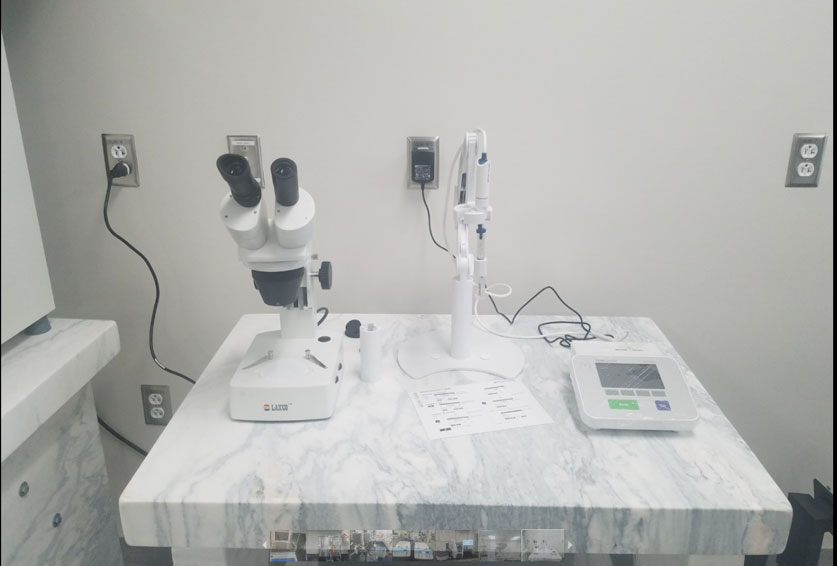 Optical Microscope