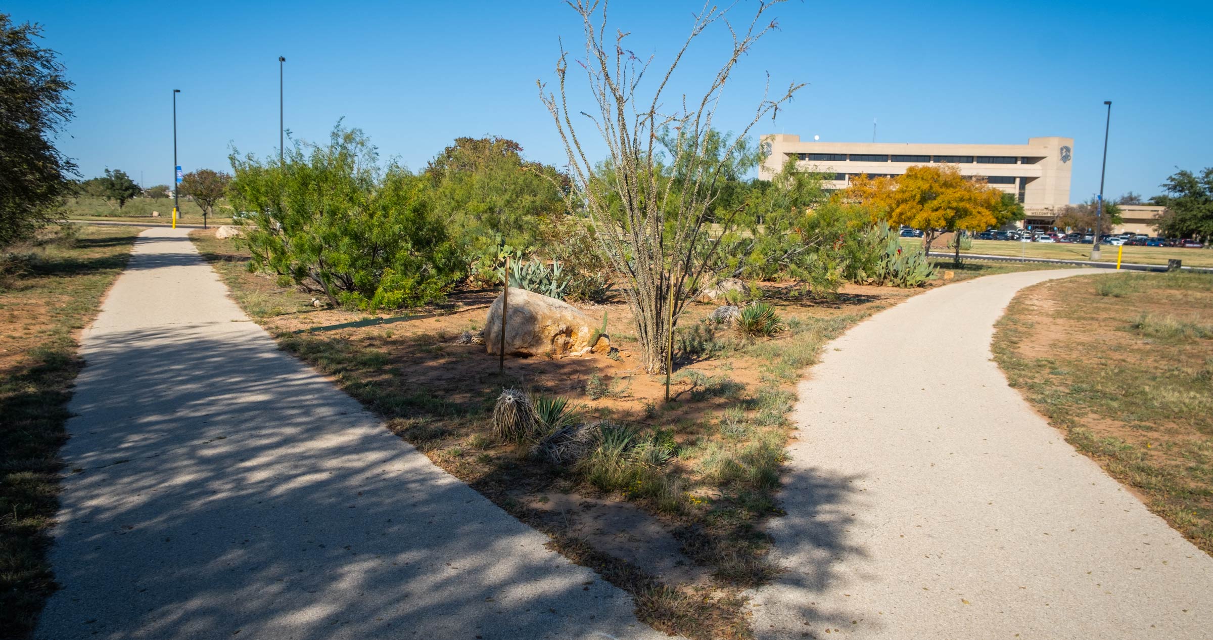 UTPB Campus trails