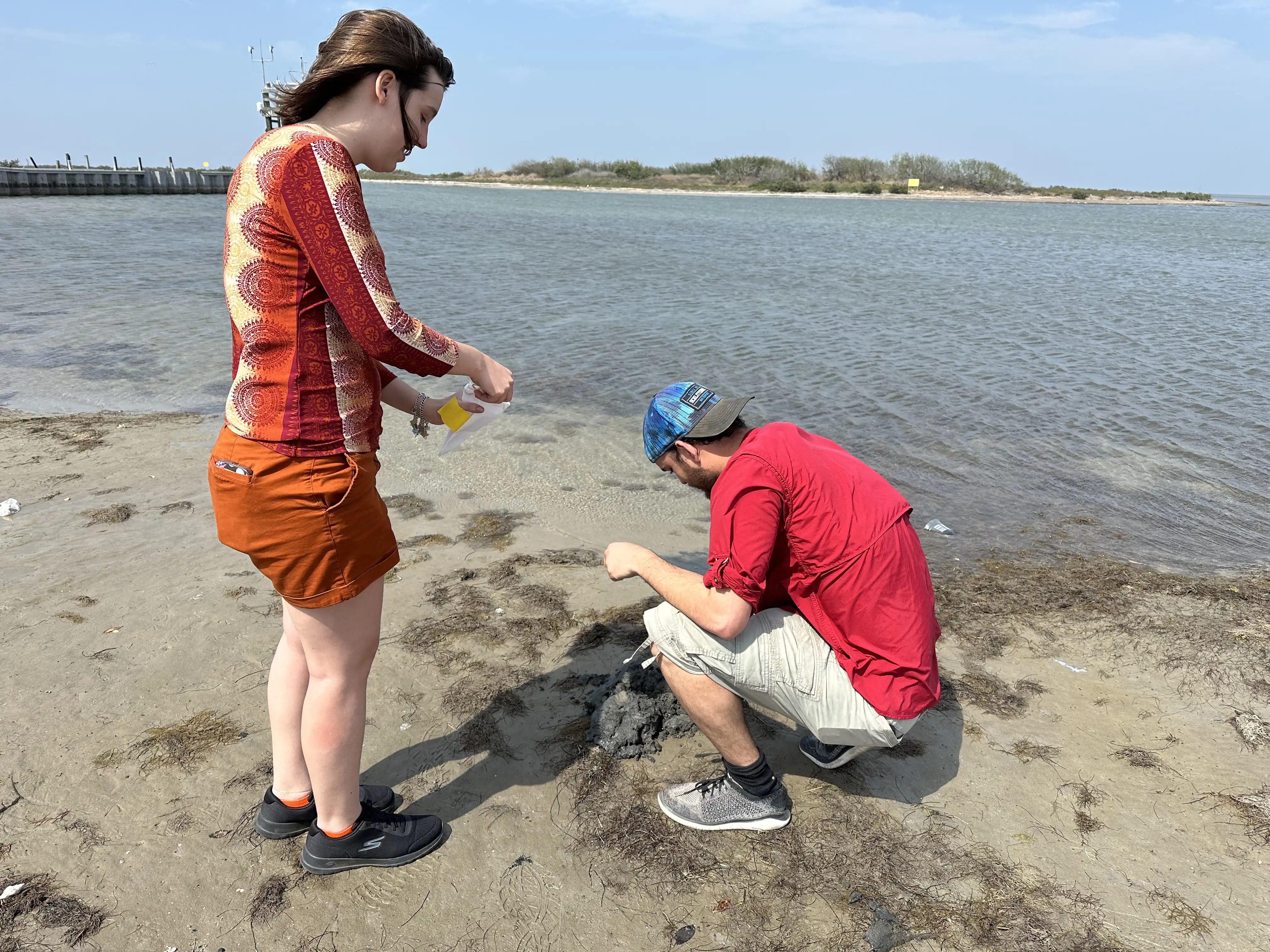 Oceanography students looking in the sand at the beach