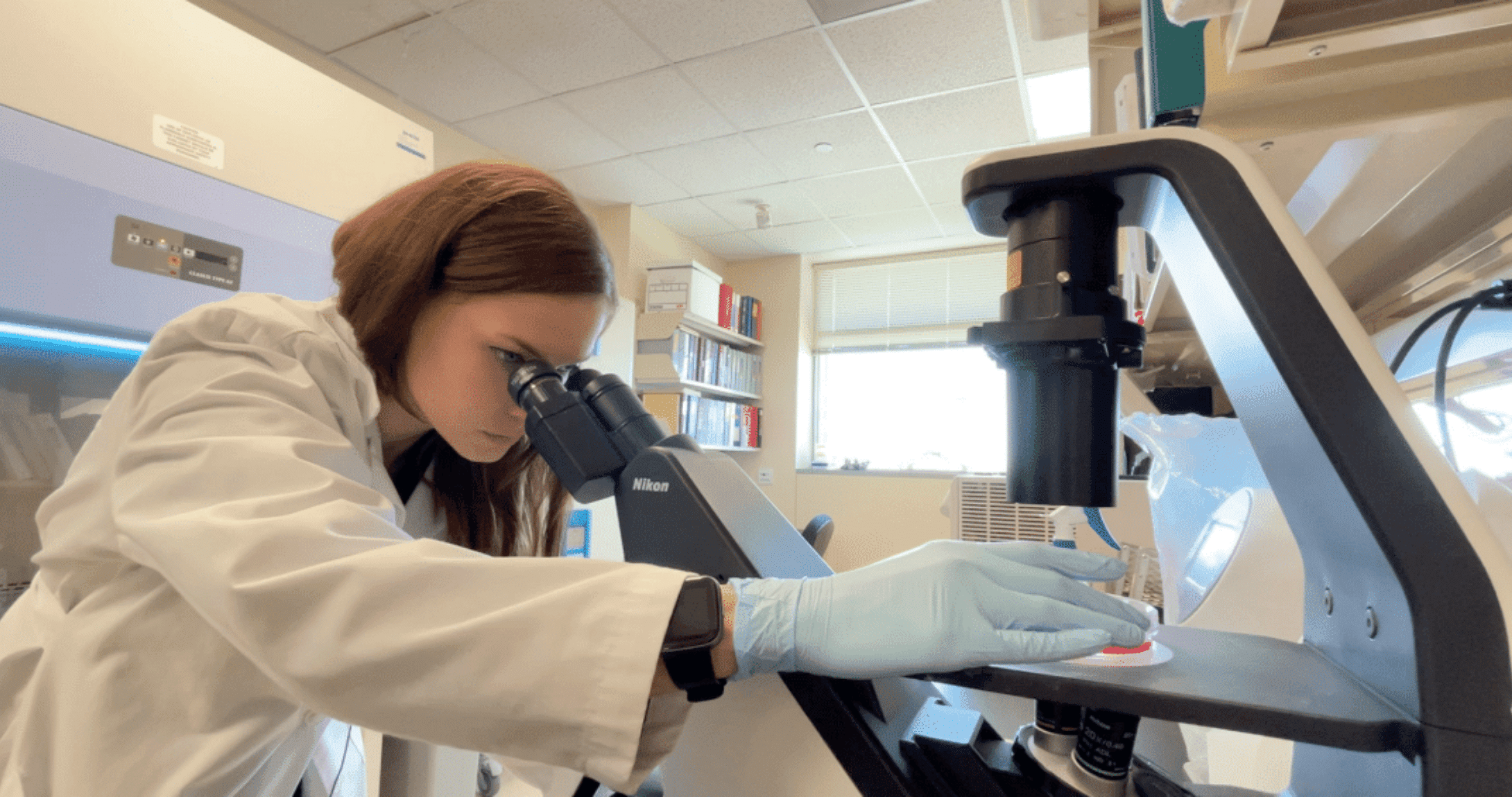 Student looking into microscope