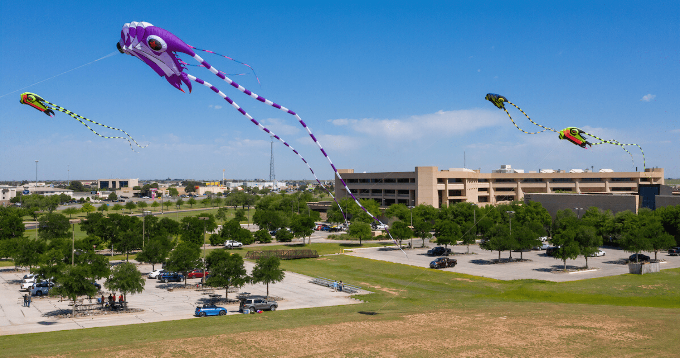 Kites flying over campus